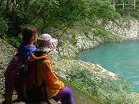 日之影町森林セラピー推進協議会