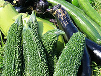 ほけだけパークハウス八町坂